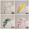 Large Wet Feel Phalaenopsis Orchid Artificial Flower for Home Décor and Weddings