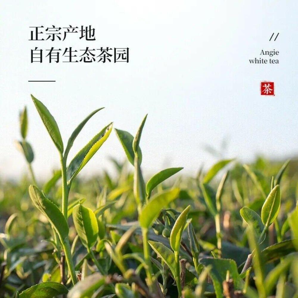 New 250g Phoenix Dancong Qi Lan Fragrance (Rare Orchid) Oolong Tea Flower Aroma