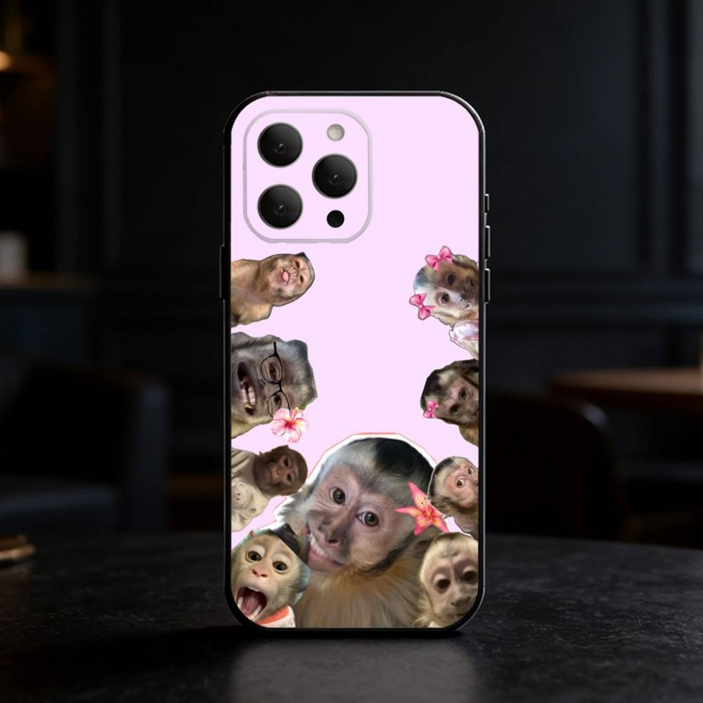 

Monkey abstract Funny Phone Case For iPhone 17,16,15,14,13,12,11 Plus,Pro Max,SE4Soft Silicone Black Cover iPhone14Plus