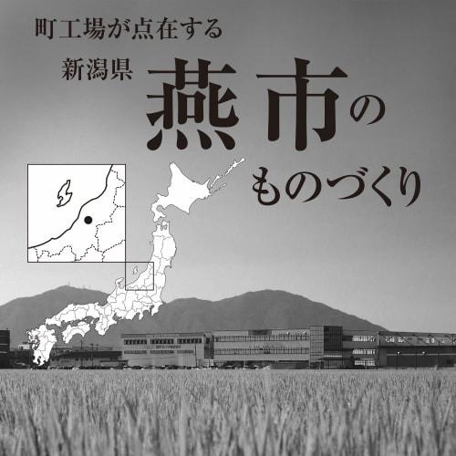 Wahei Freiz Stainless Steel Straw with Brush, Made In Japan, Tsubame Kenma Factory ME-7159