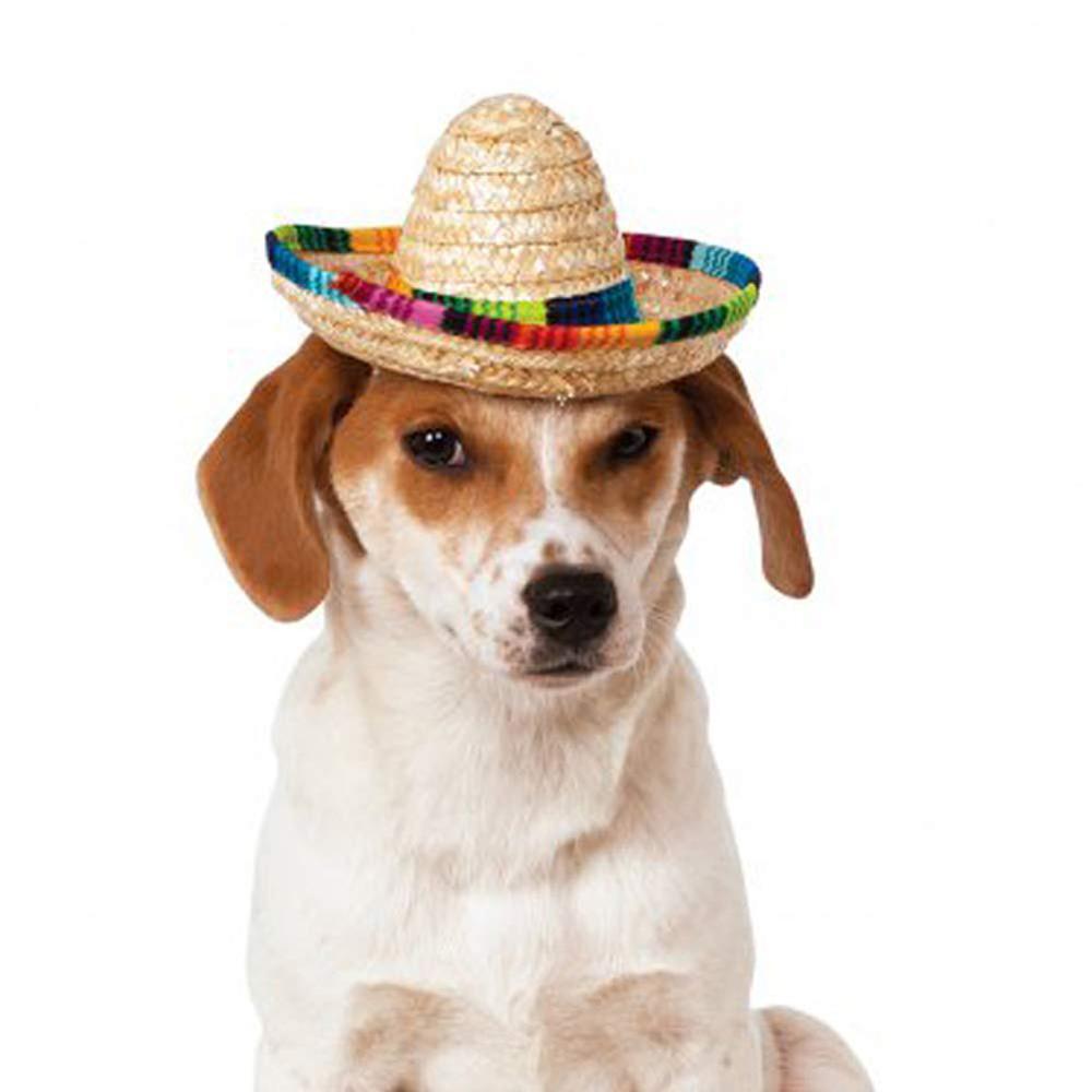 Dog Sombrero Hat Mini Straw Sombrero Hats Mexican Hats Sombrero Party Hats for Small Pets/Puppy/Cat