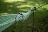 Ticket To The Moon Camping Compact Jade 41011 Hammock, Hammock, Green,