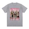 Professional Yapper Meme T-Shirt Funny Cat Lovers Graphic Short Sleeve T Shirt 100% Cotton Casual Comfort Loose T-shirts Unisex