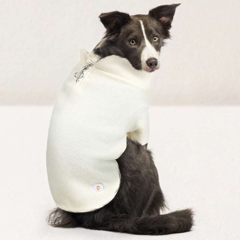 

[Pet] Embroidered Knit Zip-Up Xl