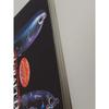 Used Lucky Craft Lure Complete Manual