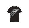 Puma T-shirt 679254