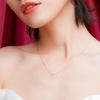 S925 Sterling Silver Gold-Plated Necklace with Simple Inlaid Pendant for Women