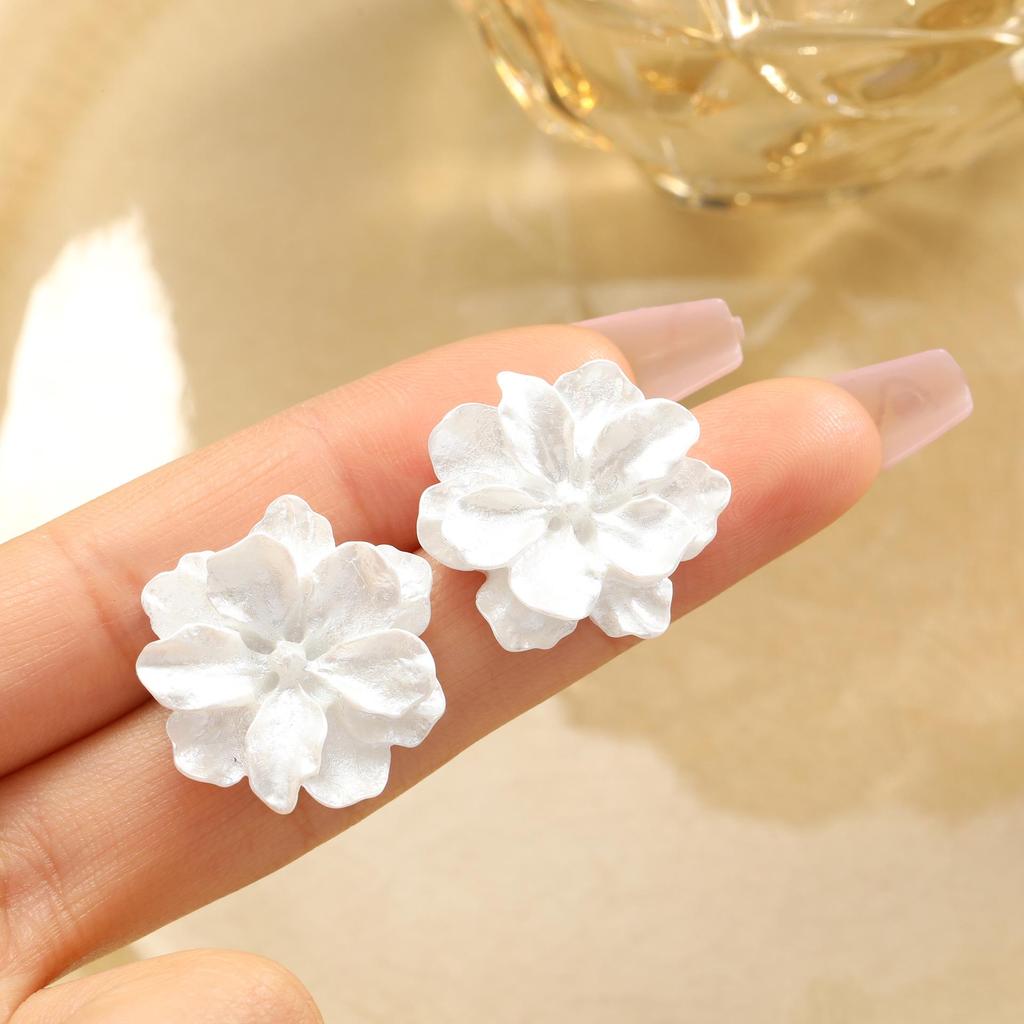 Trendige europäische und amerikanische Stern-Quastenohrringe für Damen