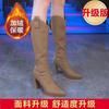 High-heeled boots shoes autumn and winter pointed thick-heeled thin boots velvet warm temperament Martin women's boots