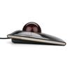 Kensington warranty Japanese SlimBlade Trackball 72327JP [Genuine product, 5-year included, packaging]