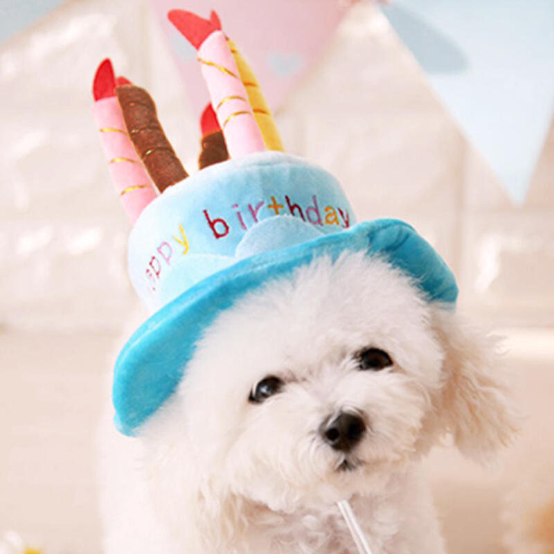 Cake Hat Puppy Cat Birthday Party Event Supplies
