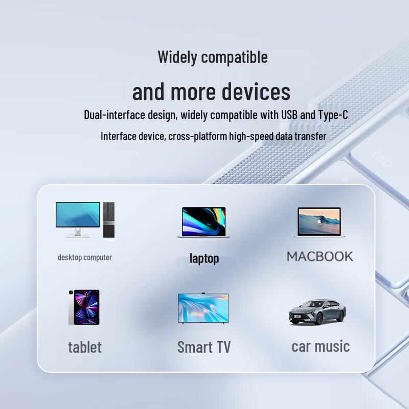 Lenovo ThinkPlus Dual Interface USB 3.2 Type-C 256GB USB Drive