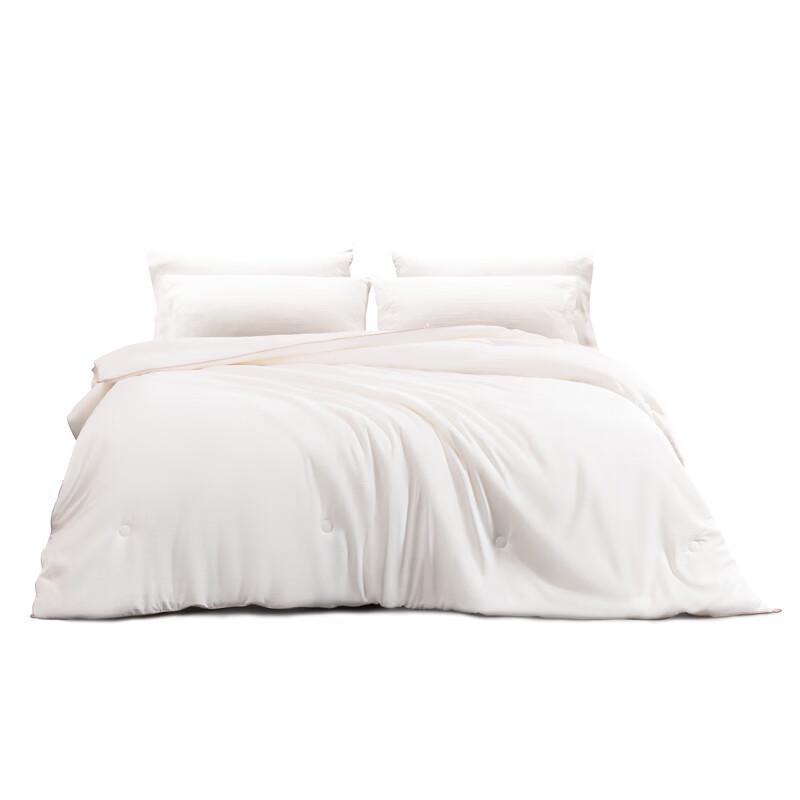 Mercury Home Textiles Soybean Antibacterial All-Season Quilt