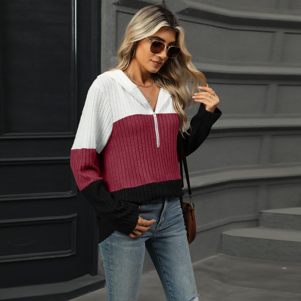 Women's Autumn and Winter New Loose Contrasting Color Spliced Zipper Hooded Long Sleeved Top for Women