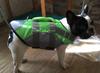 New Multi-Color Pet Summer Life Jacket: High Buoyancy Dog Swimsuit Vest