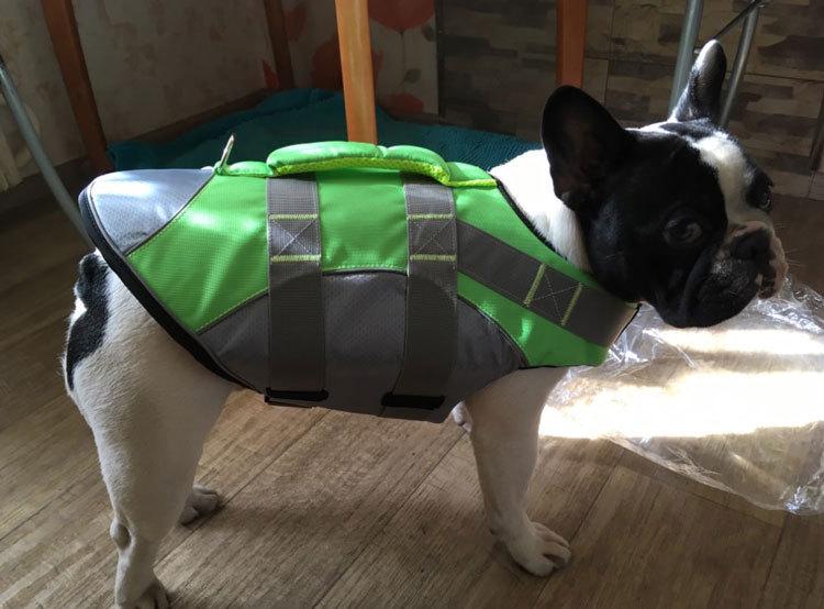 New Multi-Color Pet Summer Life Jacket: High Buoyancy Dog Swimsuit Vest