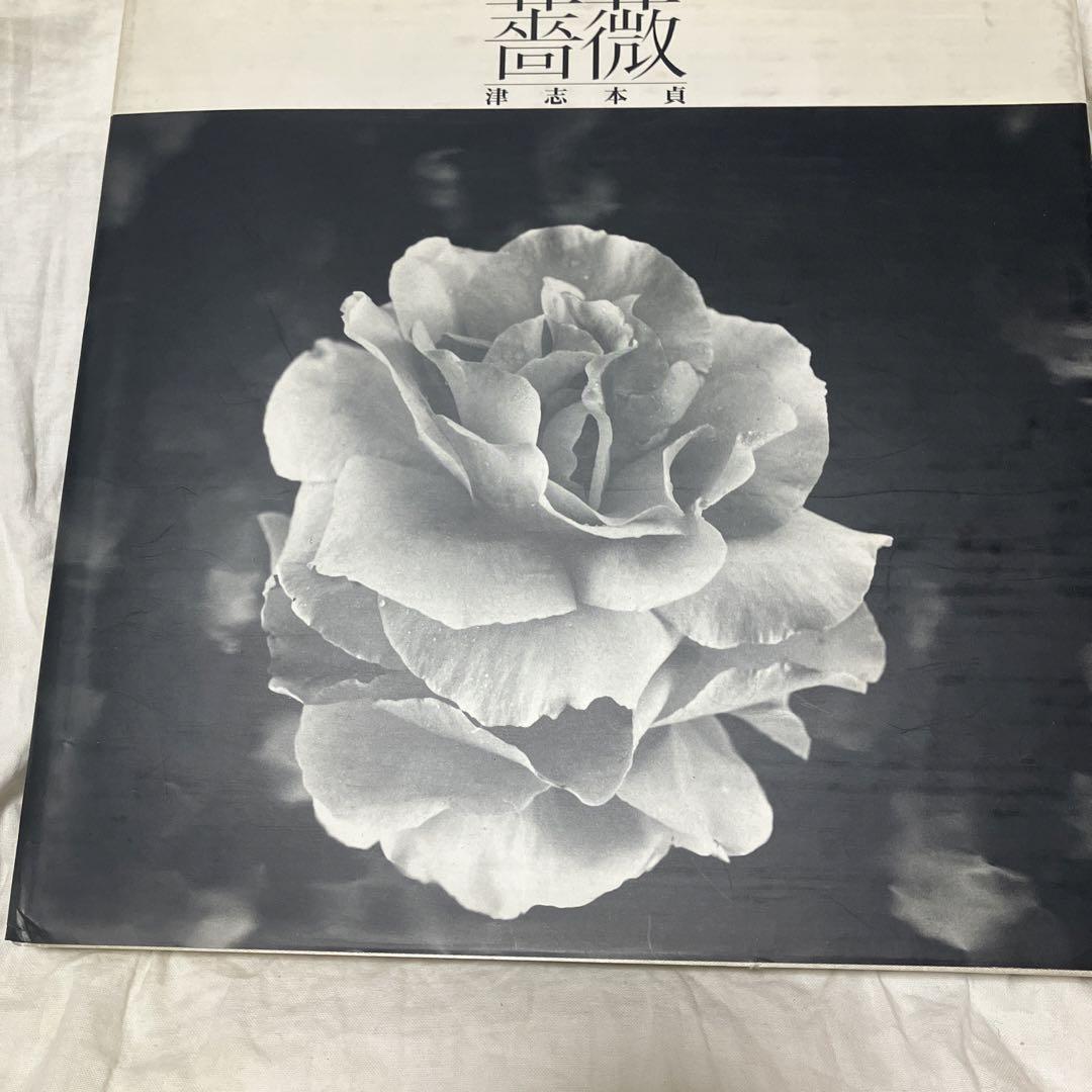 

[USED] Rose/Tsushi Motosada