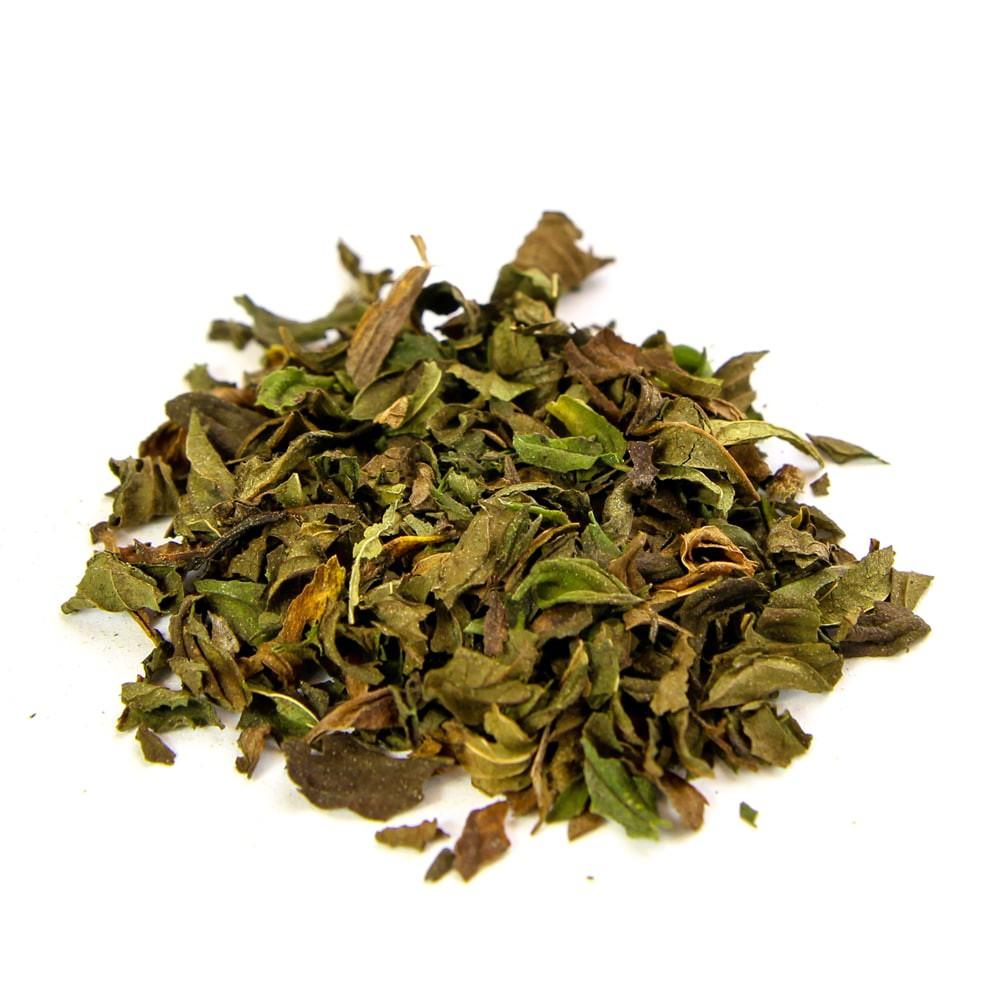 Mint Herb - 50
