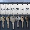 Hicarer Metal Numbered Tags Stainless Steel Number ID Key Tags with Holes Numbered Key Rings Chain (50 Pcs,1-50, Rectangle)