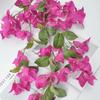 DIY Bougainvillea Artificial Flower Accessories Simulation Flower Rattan  Wedding Favors