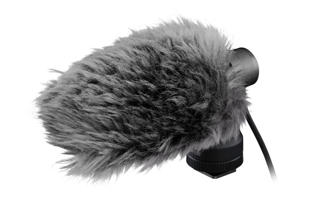 Stereo Microphone DM-E100