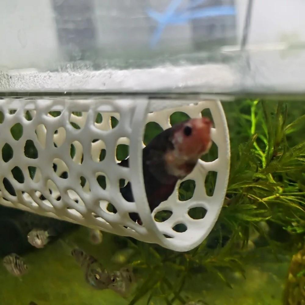 Ornamental Habitat Aquarium Fish Hideout Hollow Tube Shrimp Hiding Places  Aquarium Decoration