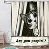 Funny Cat Shower Curtain, are You Poopin' Curious Kitty Whimsical Joke Humor Themed, Shower Curtain Set with 12 Hooks for