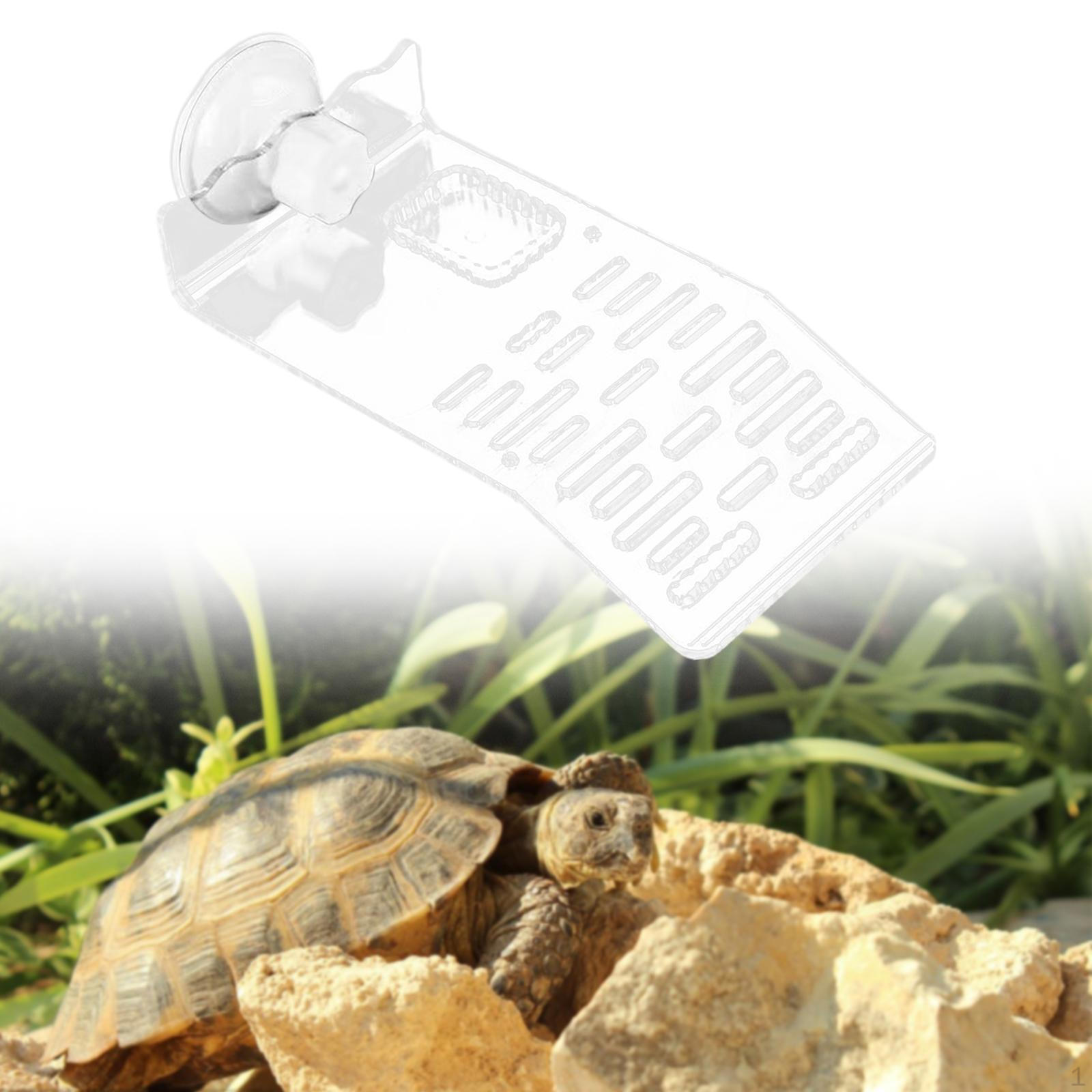 

Платформа для купания черепахи Акриловые украшения Аксессуары Многоцелевая терраса для отдыха рептилий Clear S