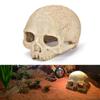 High Simulation Aquarium Decorative Skull Design Resin Skeleton Fish Tank Landscape  Fish Tank