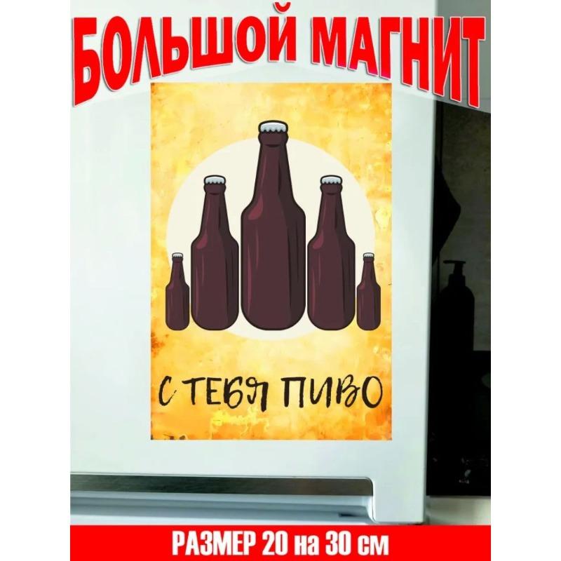 You Owe Me a Beer Big Fridge Magnet Gift Set