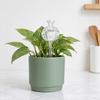 Cactus Self Watering Bulb, Vacation Automatic Plant Watering Tool, Planter Insert Self Watering Sphere for Indoor Outdoor Potted Plants Garden