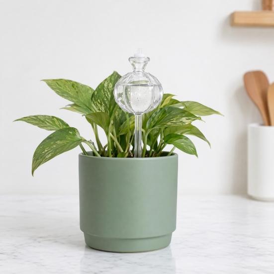 Cactus Self Watering Bulb, Vacation Automatic Plant Watering Tool, Planter Insert Self Watering Sphere for Indoor Outdoor Potted Plants Garden