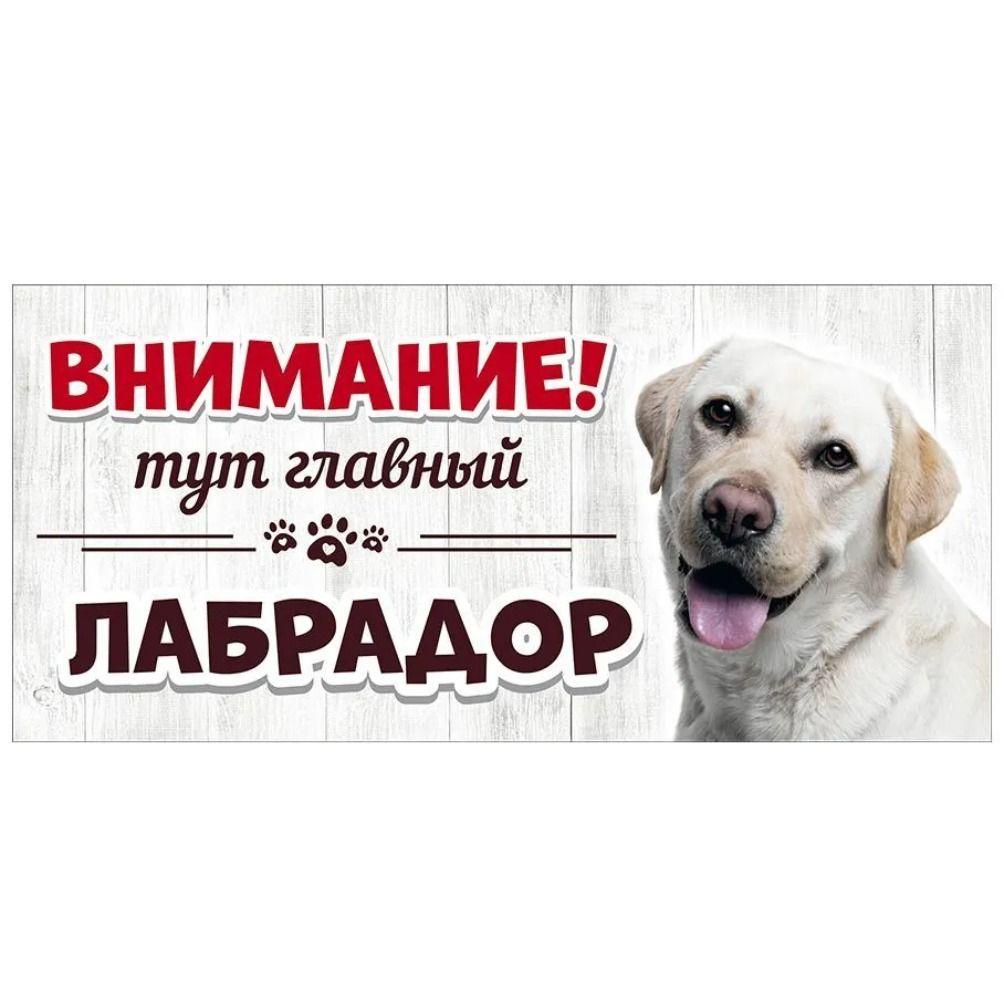 Evil Pomeranian Spitz Sign, Metal Fence Door Plaque 30x15cm