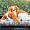 Bamboe Houtskool Kat & Hond Luchtzuiverende Zak - Verwijdert Geuren & Formaldehyde, Dubbel Gebruik voor Auto & Huis.
