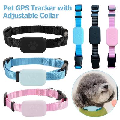 Perros – Collares y correas