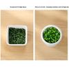 Storage Box, Draining Water Freshness Keeper, Keeps Food Fresh Food-Safe Container, for Garlic And Onions