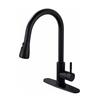 304 Stainless Steel Pull-out Kitchen Faucet