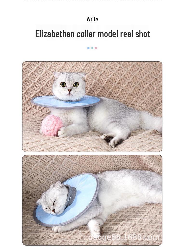 White Cat Recovery Collar: Elizabethan Anti-Lick Post-Surgery Bib