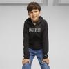 Puma Active Sports Fz Tr Sweatshirt 67629101 R 116