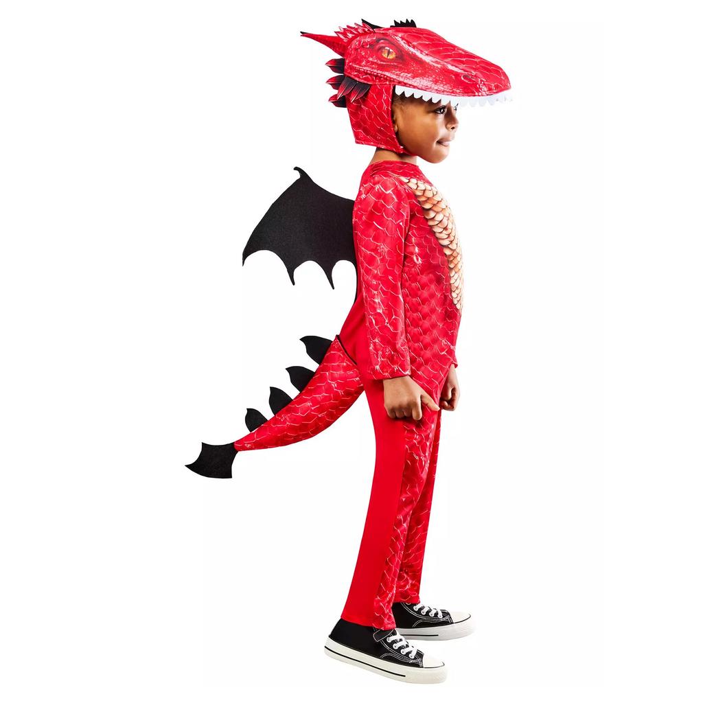 Bristol Novelty Childrens/Kids Dragon Costume