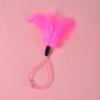 2Pcs Feather Cat Toys with Bells Interactive Spring Teaser Wand for Kittens Cats Interactive Cat Hunting Instinct Play Toy Colorful Pet Supplies