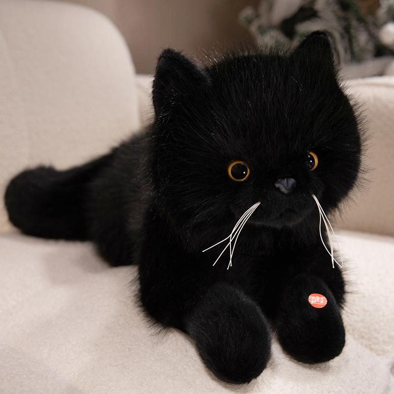 5060Cm Hoge Kwaliteit Simulatie Lolita Slabbetje Kat Pluche Pop Kussen Lang Harig Lappenpop Kat Pluche Speelgoed Huisdecoratie Cadeau Voor Kinderen 50cm naked cat