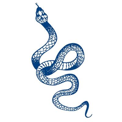 Pflanzliche Semi-Permanente 15-Tage Saft-Tattoo-Aufkleber - Verbesserte Influencer-Edition