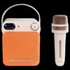 Edifier PP203 Portable Karaoke Bluetooth Speaker (CN version)