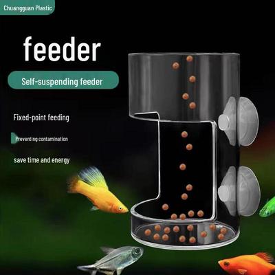 Peixes e animais aquáticos – Manutenção de aquário
