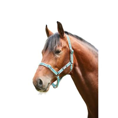 ROMA Stripe Horse Headcollar