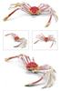 Nekogamiyama King Crab & Spider Crab Set of 2 Sea Creatures, Crustaceans, Crab, Fish Figurines, Models, Miniatures, Ornaments, Decorative Ornaments,