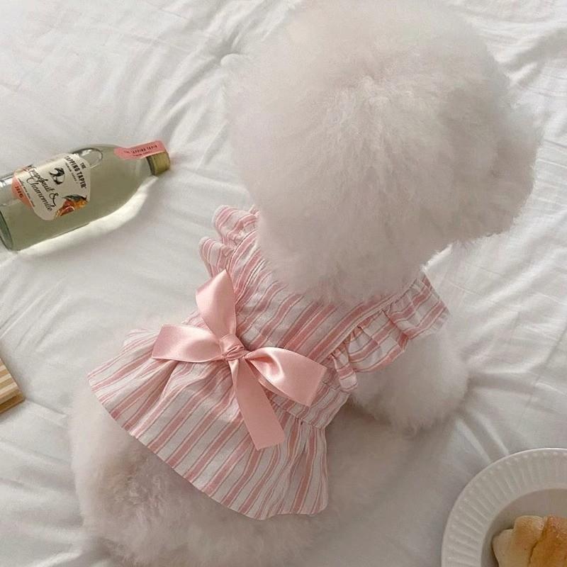 Puppy Dog Shirt Strap Skirt Set Teddy Pomeranian Small and Medium Dogs Universal Princess Style Dress Pet Clothes