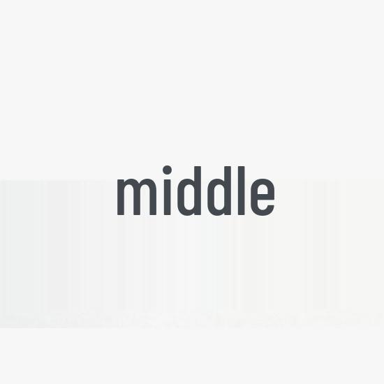 FO1R00Q017 Geely Carbon Canister Solenoid Valve None