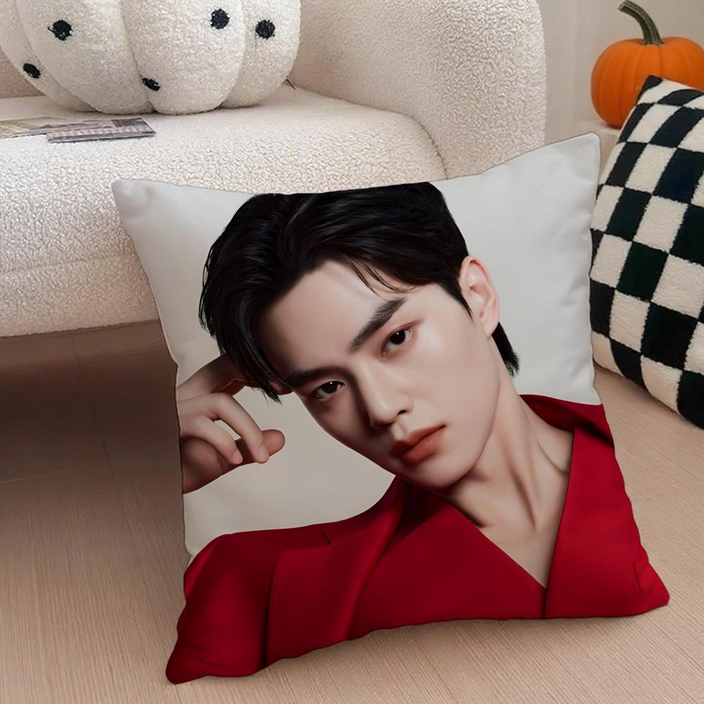 Handsome Charming Korean Actor SSong Kang Cushion Cover Throw Pillow Cover Hidden Button Durable Polyester Chair Cushion